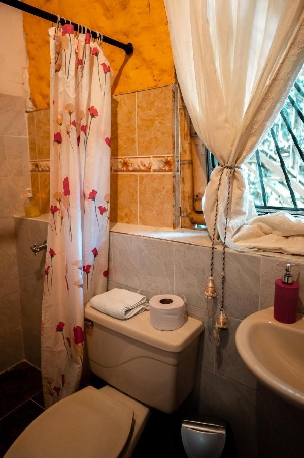 Chalet Ecoturismo La Nohelia Jericoc  Extérieur photo
