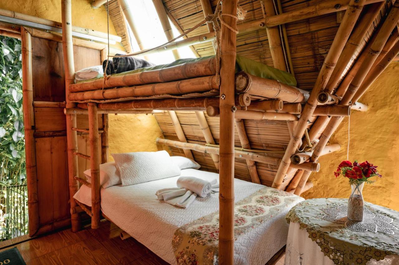Chalet Ecoturismo La Nohelia Jericoc  Extérieur photo