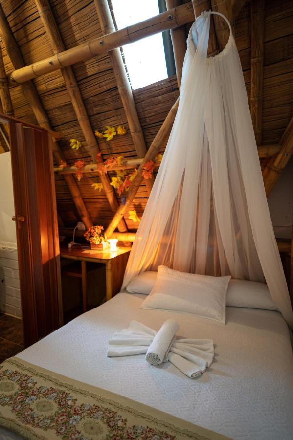Chalet Ecoturismo La Nohelia Jericoc  Extérieur photo
