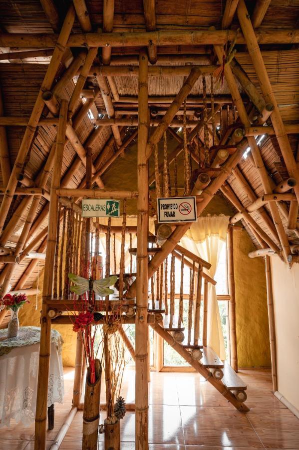 Chalet Ecoturismo La Nohelia Jericoc  Extérieur photo